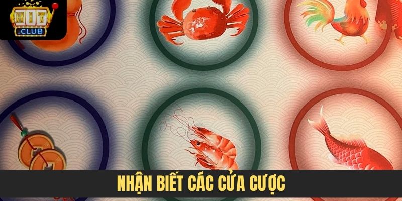 Nhận biết các cửa cược